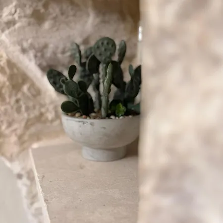 Siede La Terra - Trullo Con Piscina Ceglie Messapica