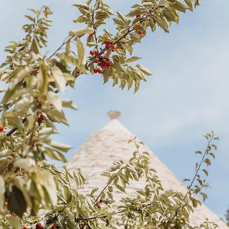 Willa Siede La Terra - Trullo Con Piscina